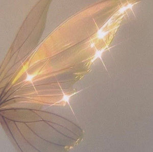 Meet your Posher, Anneliese